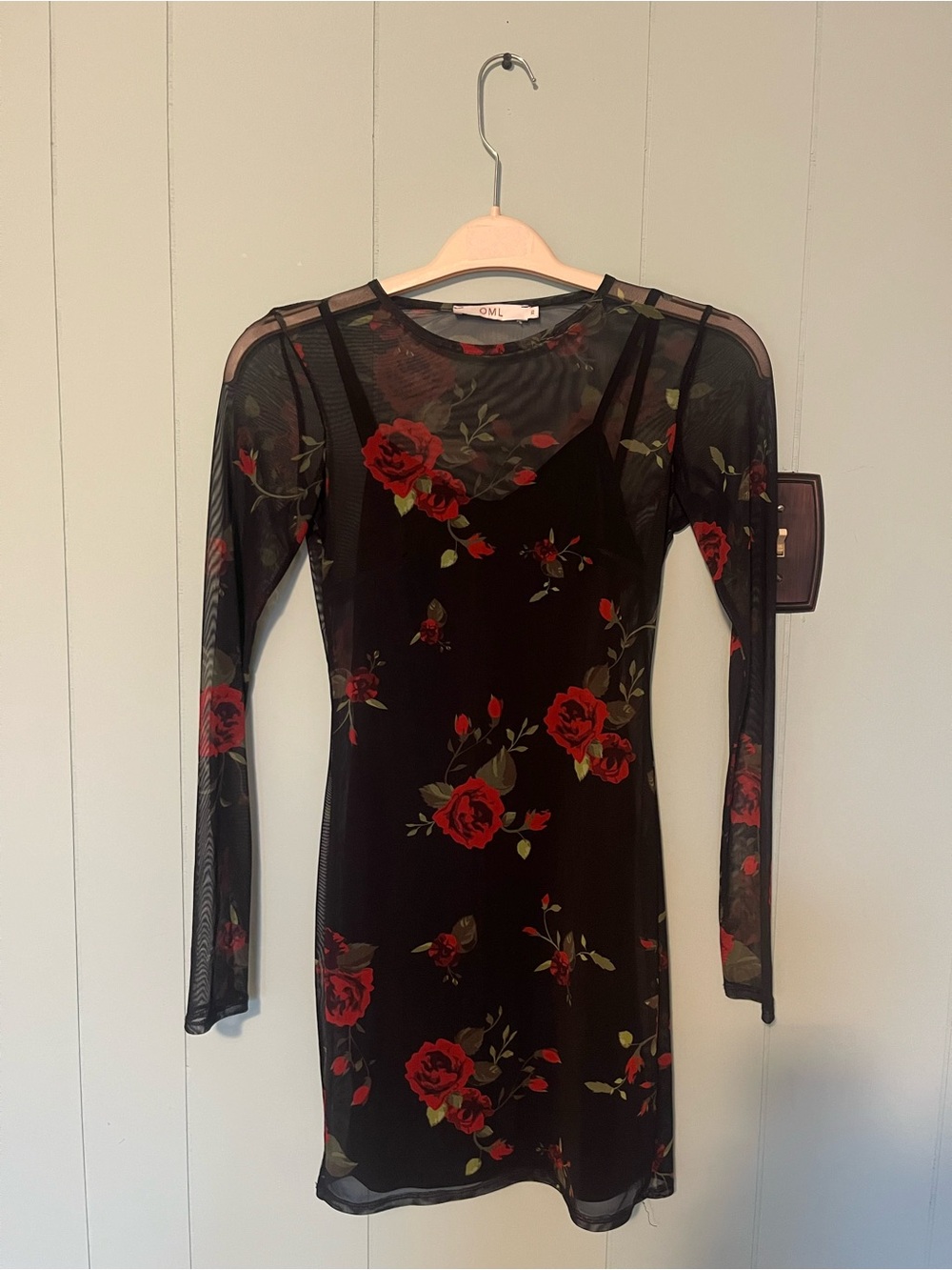 Sheer Long Sleeve Dress